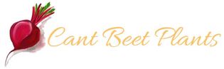 Cant Beet Plants