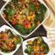 Spinach and Farro Salad with Citrus Ginger Dressing